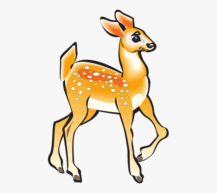 Fawn, Animal, Deer, Nature, Wildlife, Young, Doe - Bau Cua Ca Cop Printable, Transparent Clipart