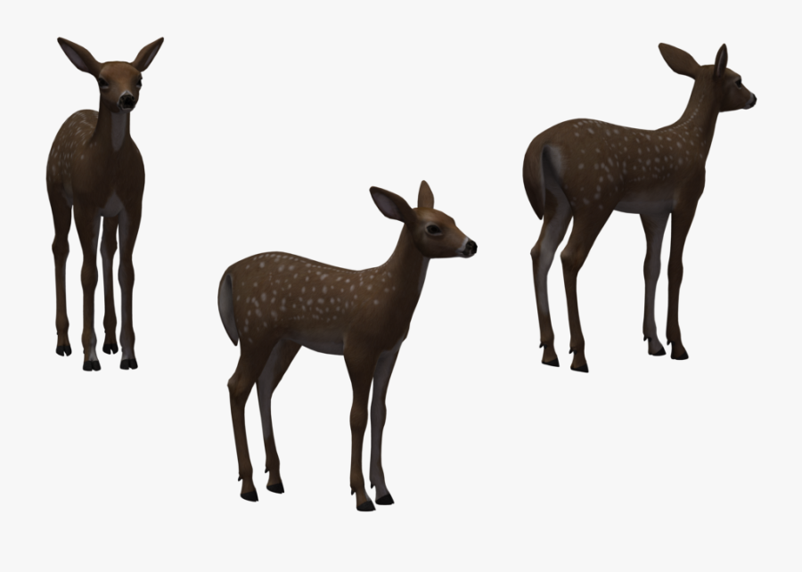 White-tailed Deer Elk Clip Art - Herd, Transparent Clipart