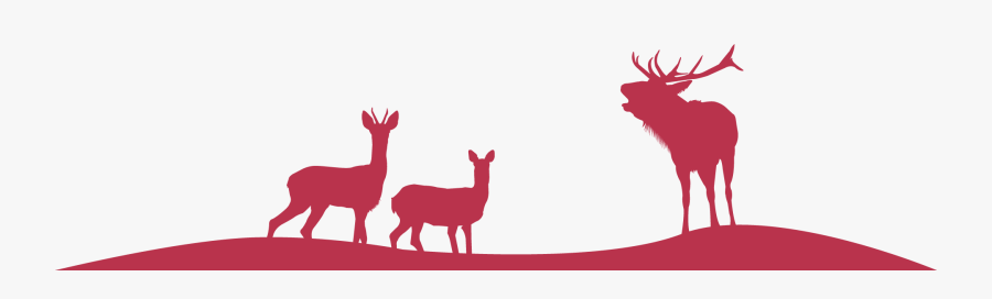 Roe Deer Clipart , Png Download - Roe Deer, Transparent Clipart