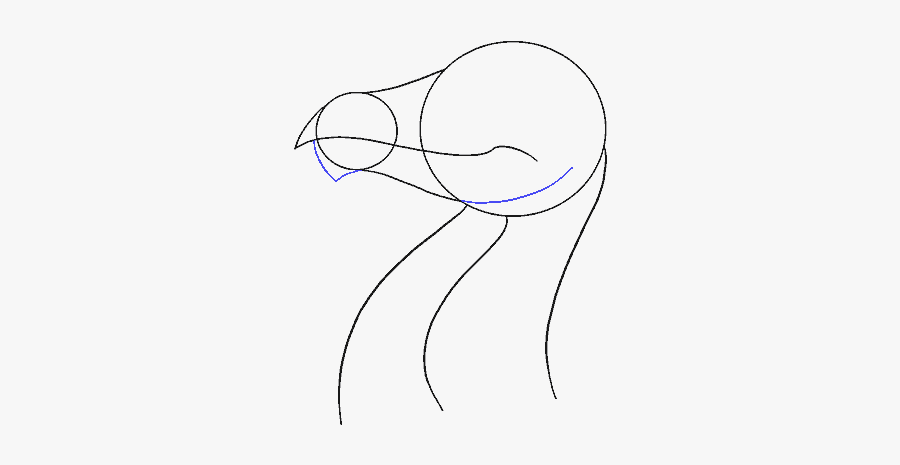 Sketch, Transparent Clipart