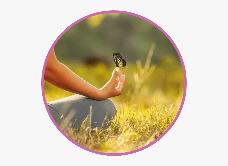 Healing Life, Transparent Clipart