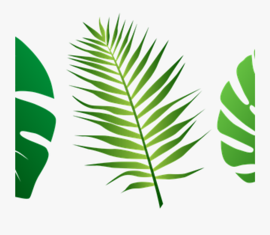 Jungle Leaves Clipart 19 Jungle Leaf Svg Black And - Tropical Leaves Svg Free, Transparent Clipart