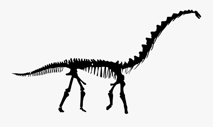 Dinosaur Skeleton Silhouette, Transparent Clipart