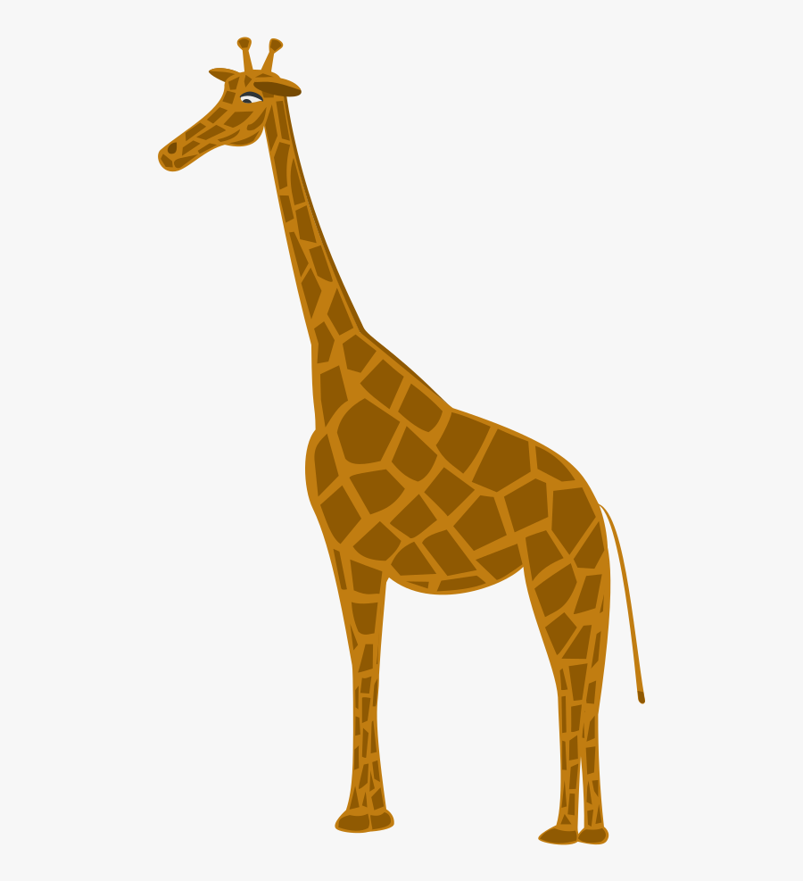 Giraffidae,wildlife,neck - Clipartgiraffa, Transparent Clipart