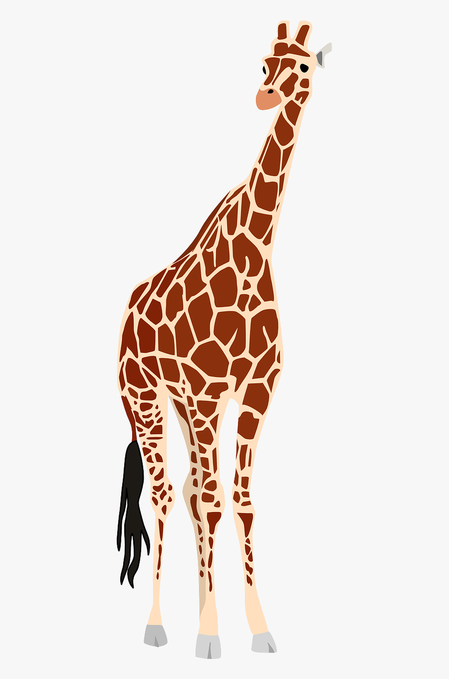 Giraffes Clipart, Transparent Clipart