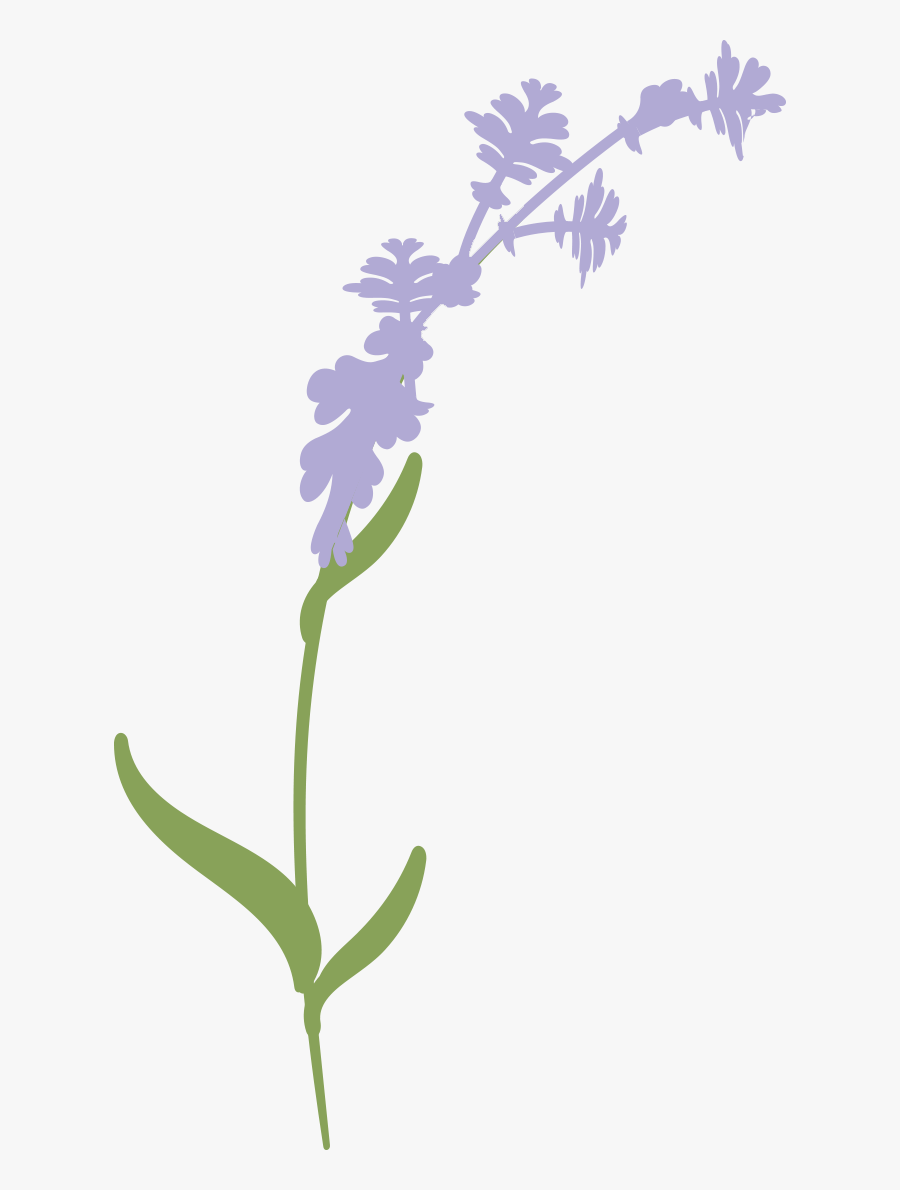 Illustration, Transparent Clipart