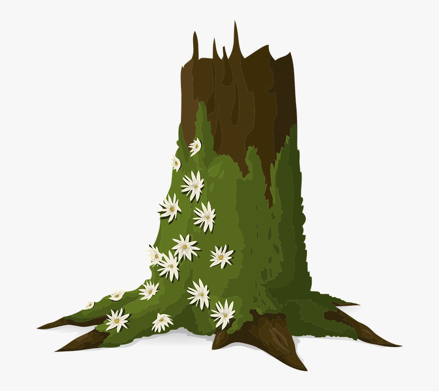 Trees, Trunks, Moss, Green, Leafy, Plants, Woods, Brown - Moss Vector, Transparent Clipart