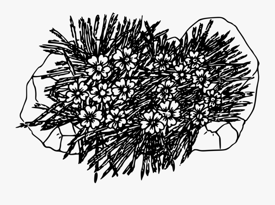 Visual Arts,plant,flower, Transparent Clipart