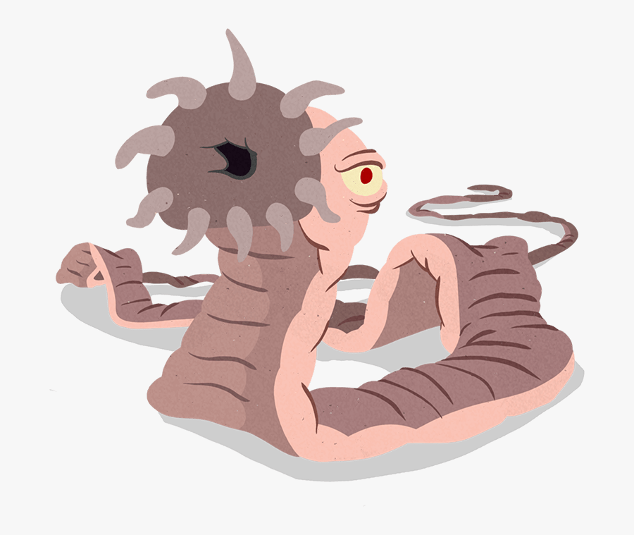 Toxocara Cati Png, Transparent Clipart