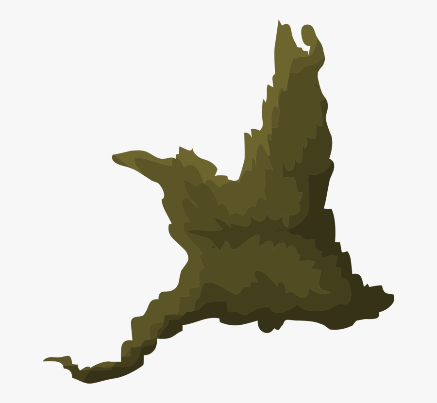 Collection Of Free Moss Drawing Birch Tree Download - Maple Leaf, Transparent Clipart