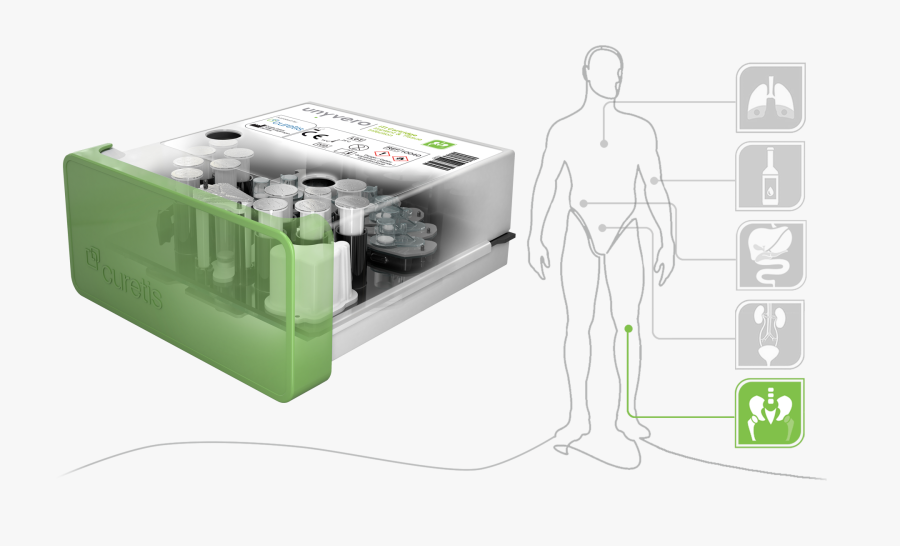 Infection Clipart, Transparent Clipart