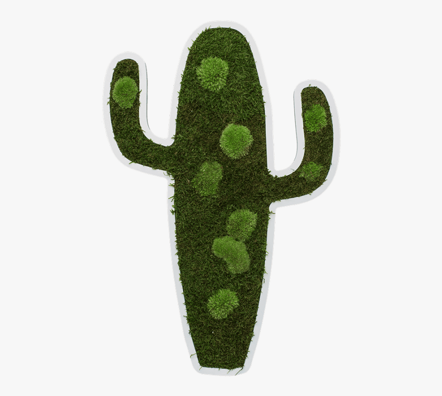 Cactus Pictogram 60 Cm - Chlorophyta, Transparent Clipart