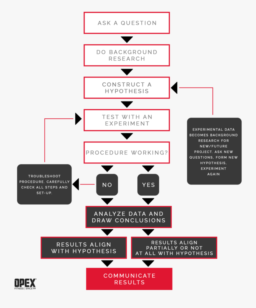 Perhaps The Greatest Tool A Scientist Uses Is Scientific - Parallel, Transparent Clipart