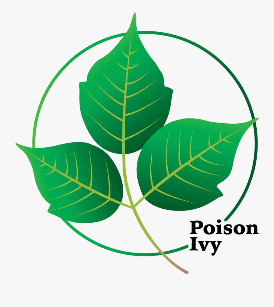 Transparent Poison Ivy Leaf, Transparent Clipart