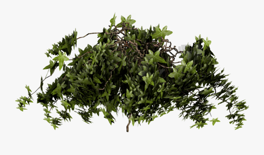 Poison Ivy Texture Mapping Plant - Poison Ivy Plant Texture, Transparent Clipart