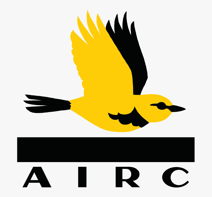 Old World Oriole, Transparent Clipart