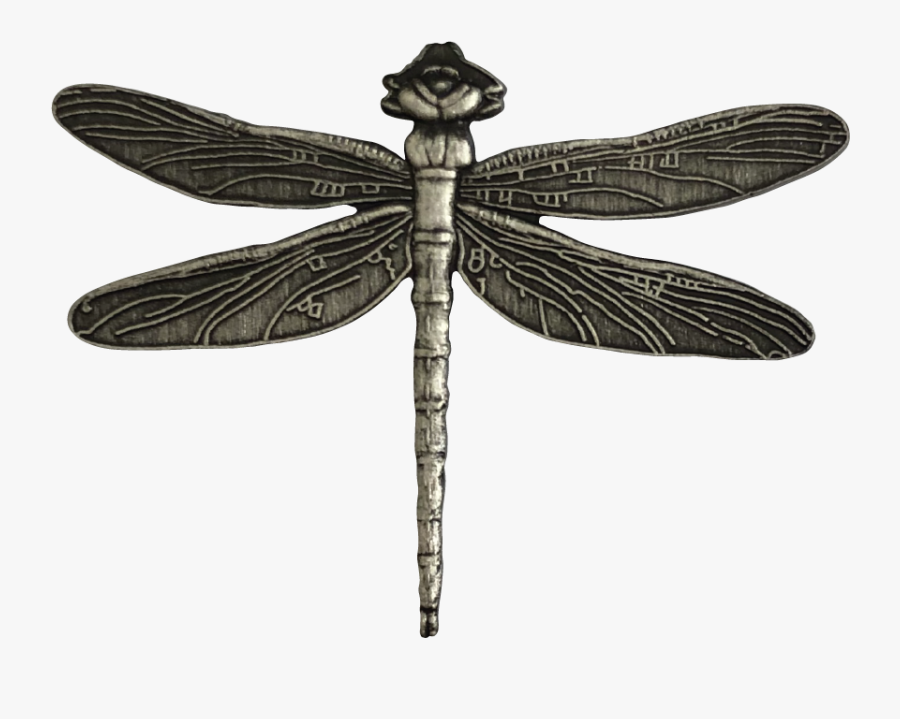 Hawker Dragonflies, Transparent Clipart