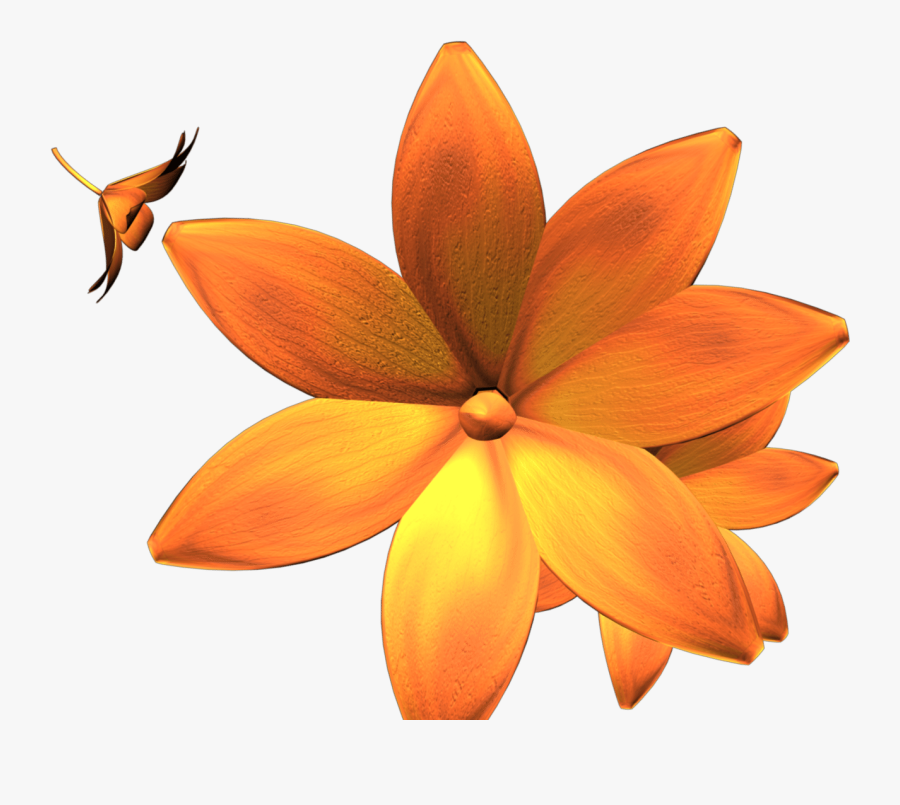Bromelia, Transparent Clipart