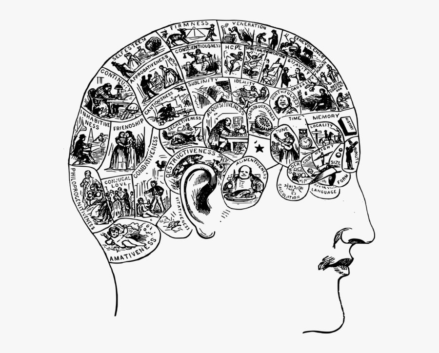 Brain Narrative, Transparent Clipart