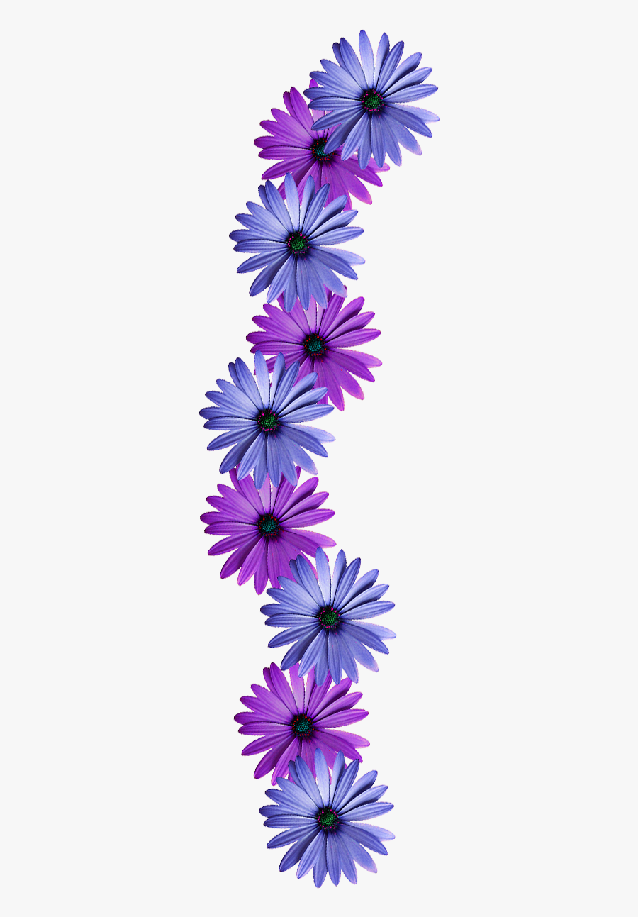 Flower Vine Png - Learning Thought Of The Day, Transparent Clipart