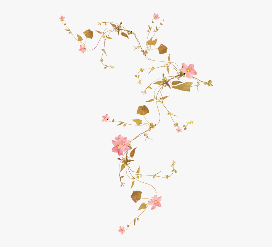 Flower Vines Transparent Background, Transparent Clipart