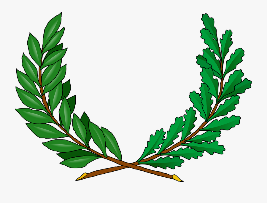 Vine Coat Of Arms, Transparent Clipart