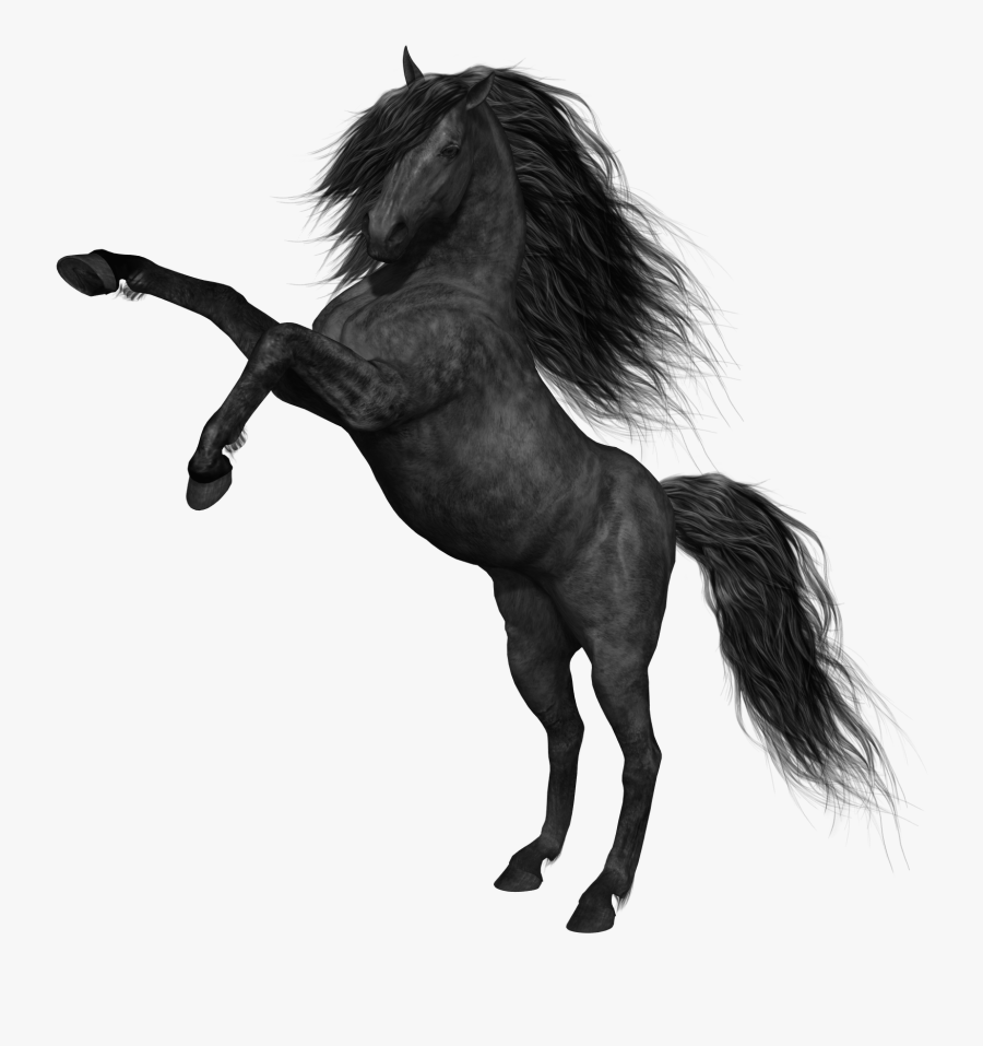 Black Picture Gallery Yopriceville - Black Horse Png, Transparent Clipart