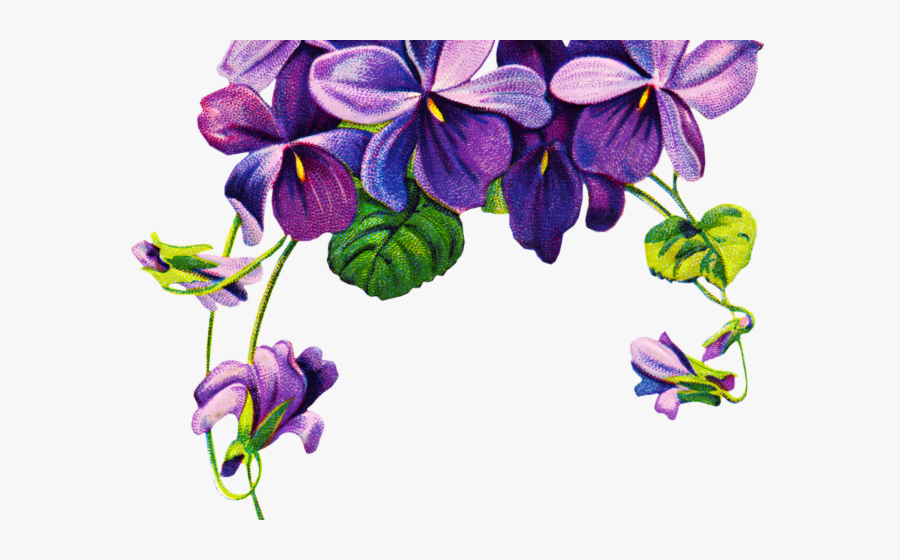Transparent Leaf Outline Clipart - African Violet Flower Tattoo, Transparent Clipart