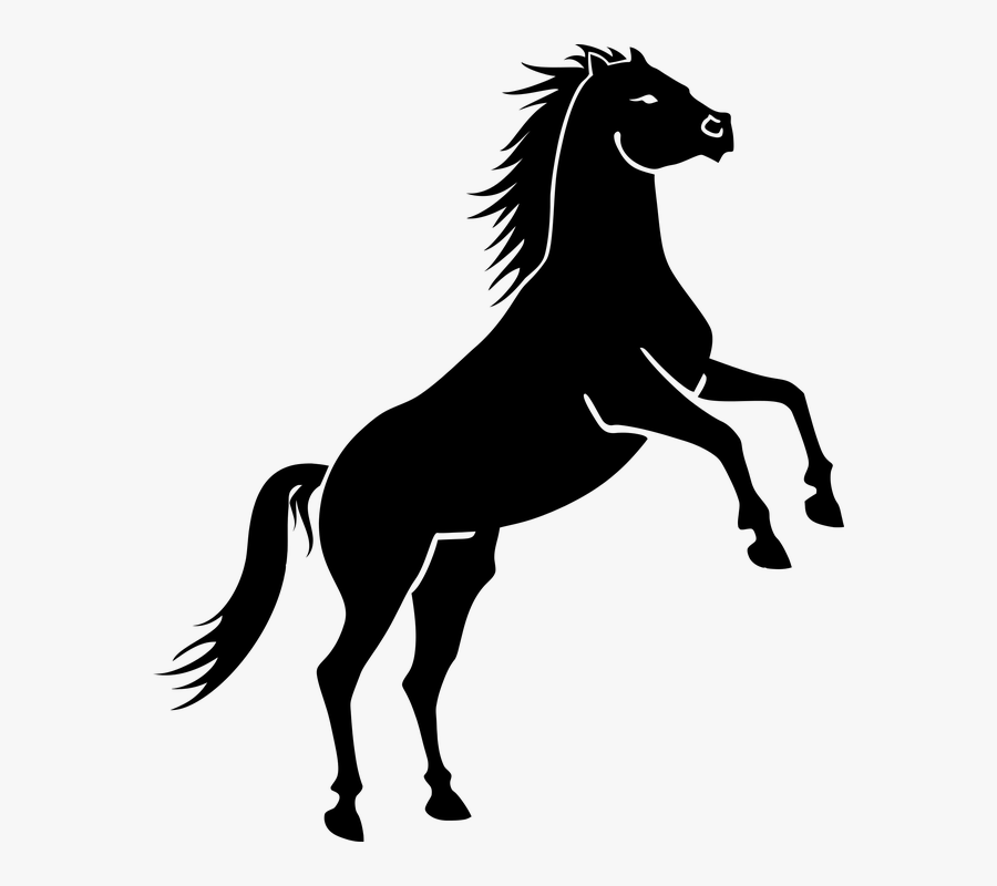 Horse,mare,animal - Horse Vector, Transparent Clipart