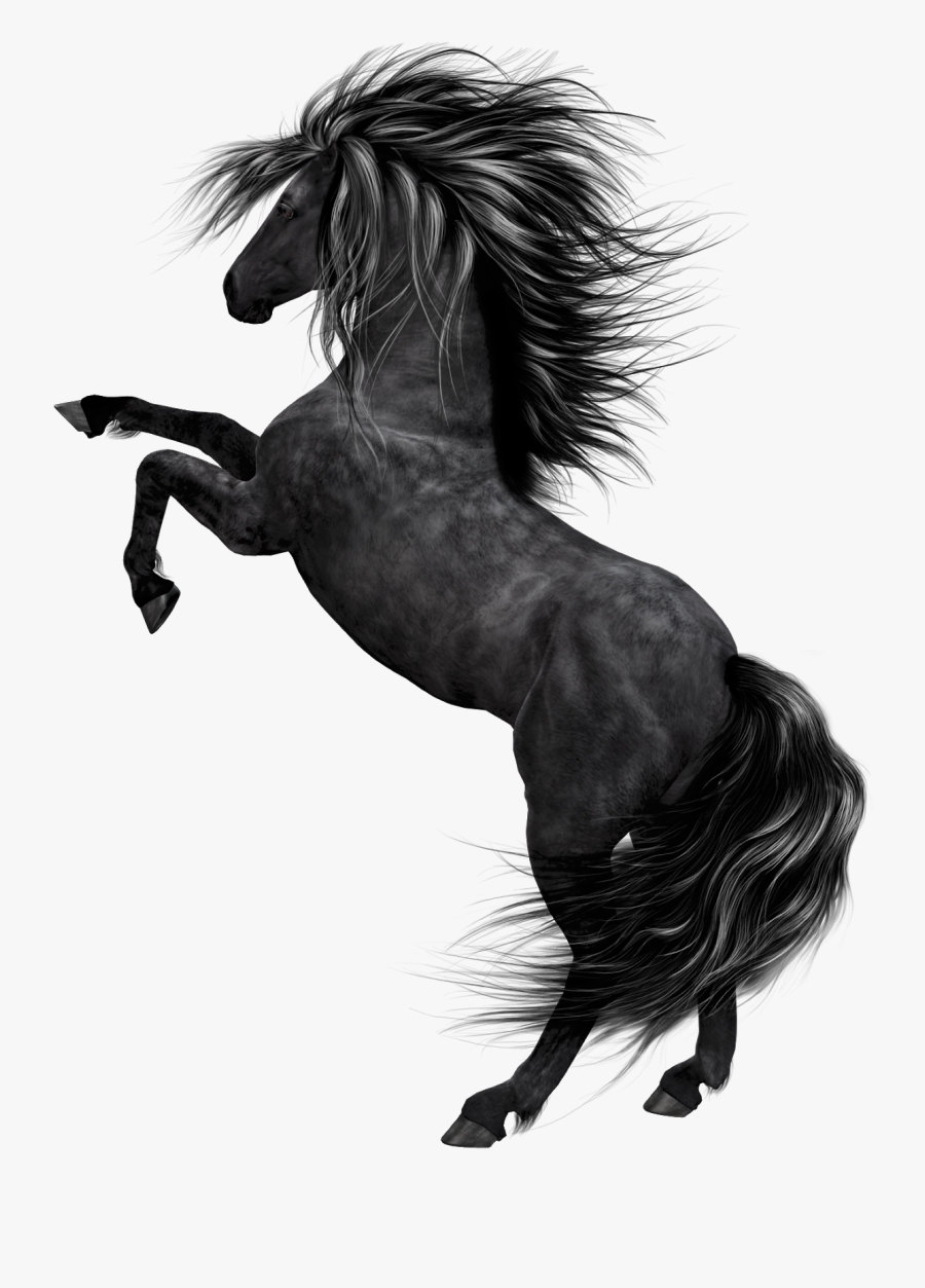 Png Of Black Horse, Transparent Clipart