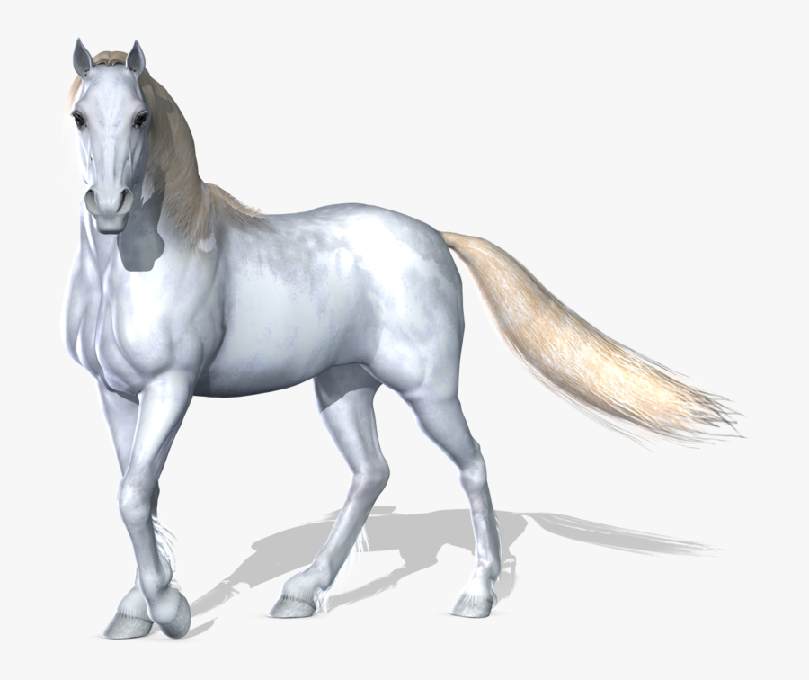 Grab And Download Horse Png Icon - White Horse .png, Transparent Clipart