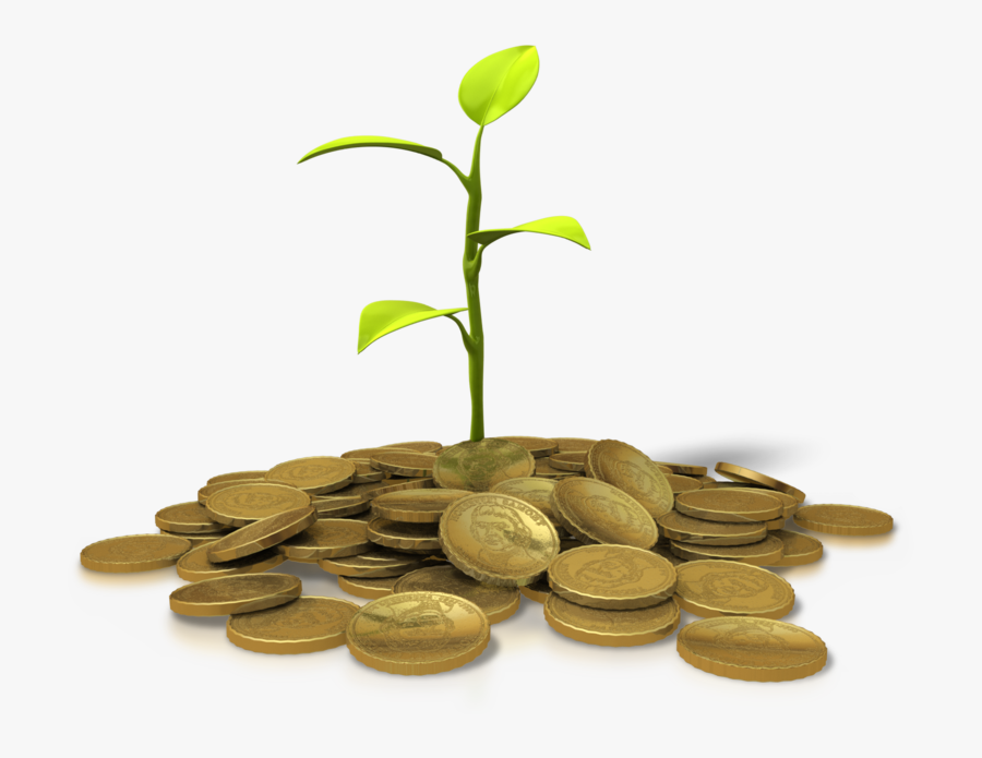 Coins Plant Png, Transparent Clipart