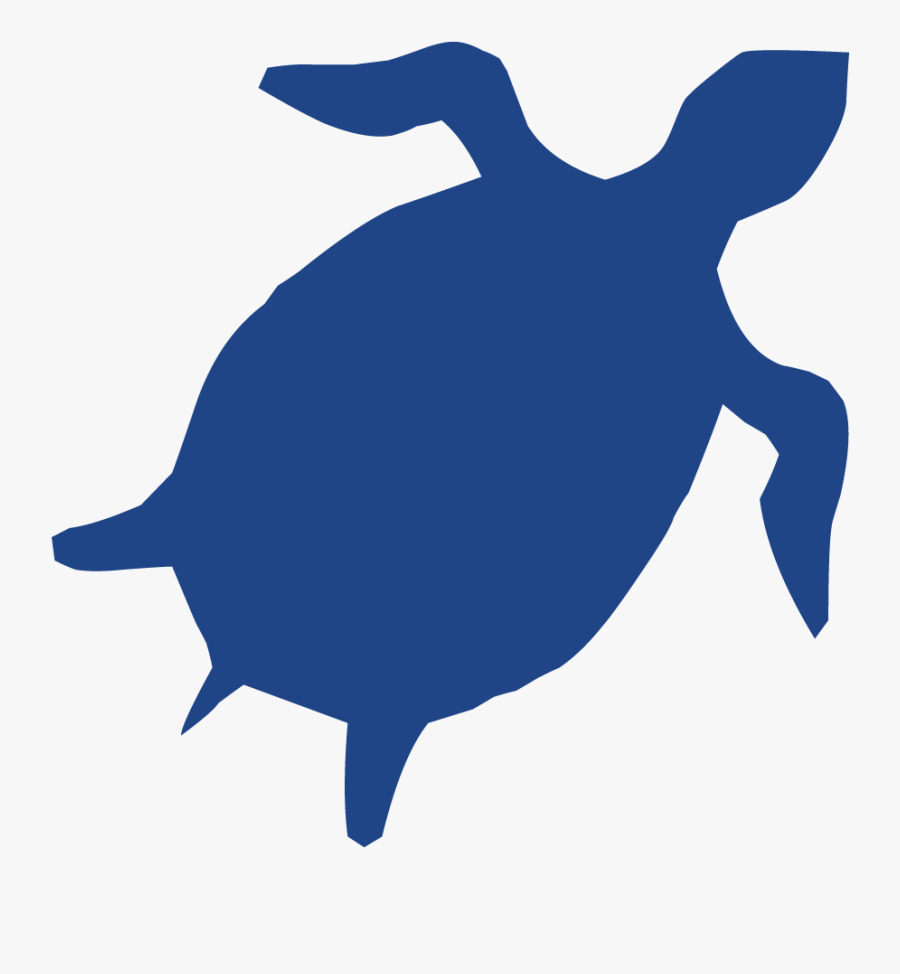 Turtle, Transparent Clipart
