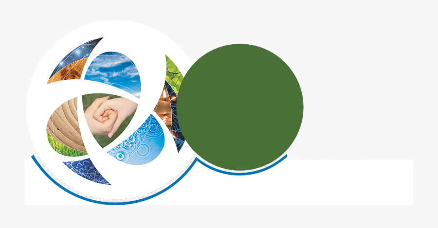 Home Page - Institute For Integrative Health, Transparent Clipart