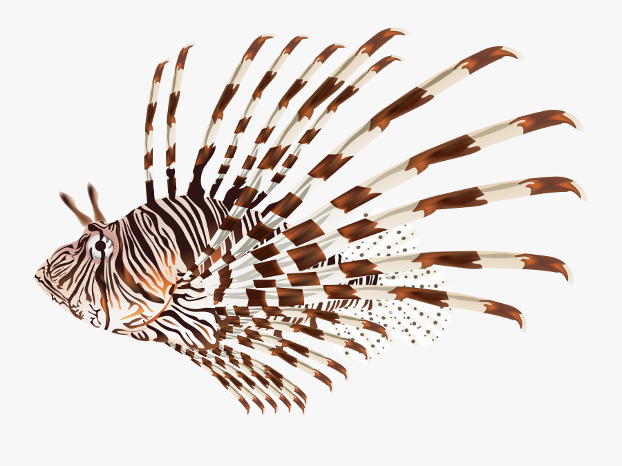 Fish Clipart Clear Background - Lionfish Png, Transparent Clipart