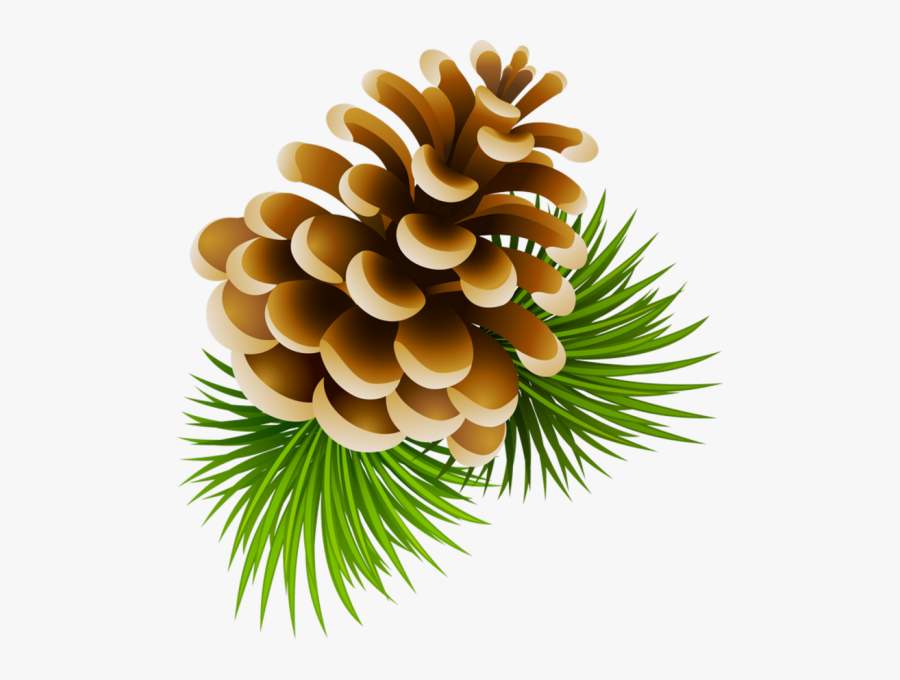 Transparent Pine Cone Clip Art - Clip Art Pine Cones, Transparent Clipart