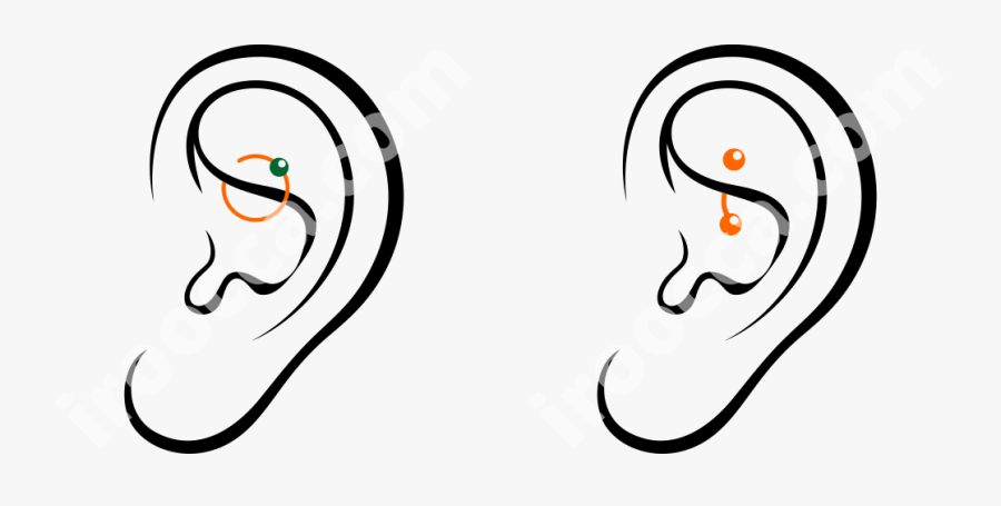 Clip Art, Transparent Clipart