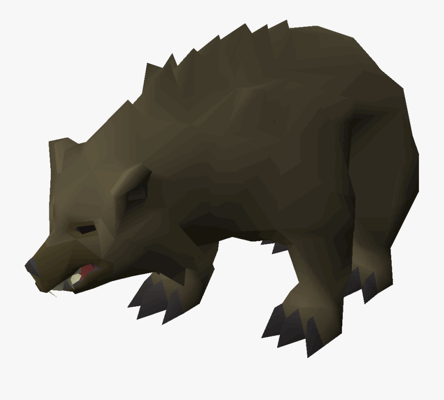 Osrs Bears Wilderness Slayer Bear Spawns Osrs , Free Transparent
