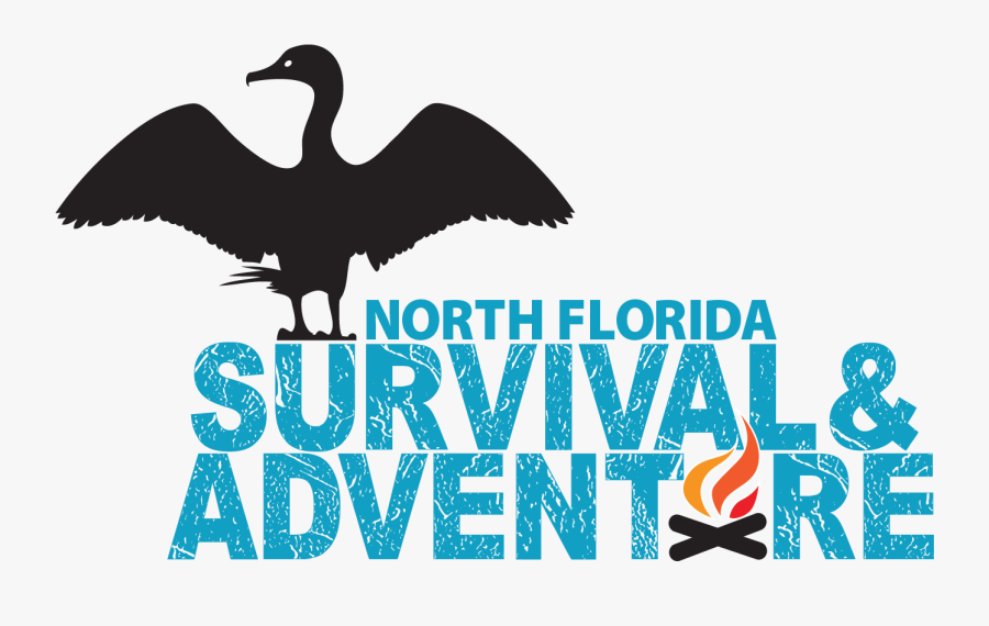 About Us North Florida - Water Bird, Transparent Clipart