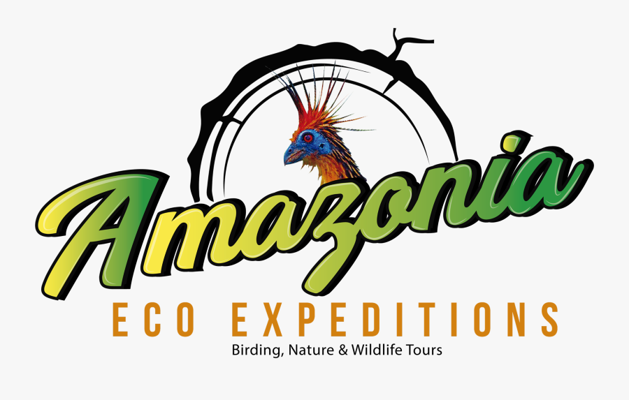 Wilderness Clipart Amazon Forest, Transparent Clipart