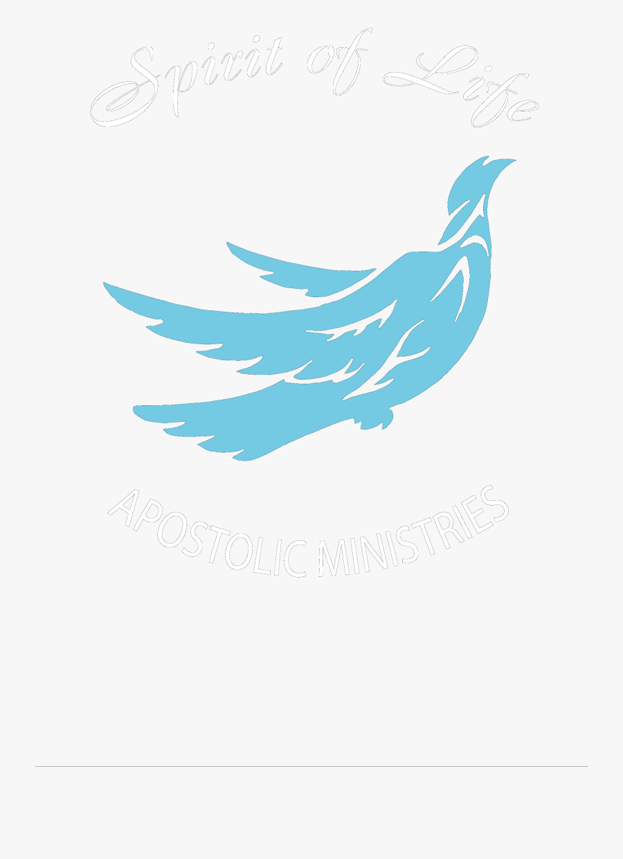 Healing Clipart Spiritual Revival - Duck, Transparent Clipart