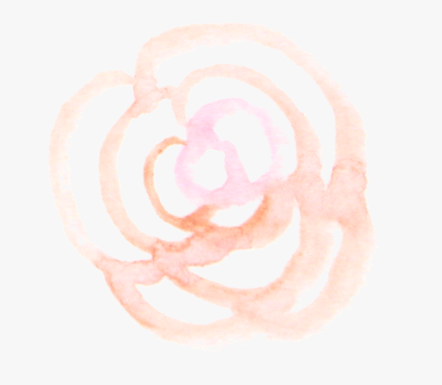 Red Onion, Transparent Clipart