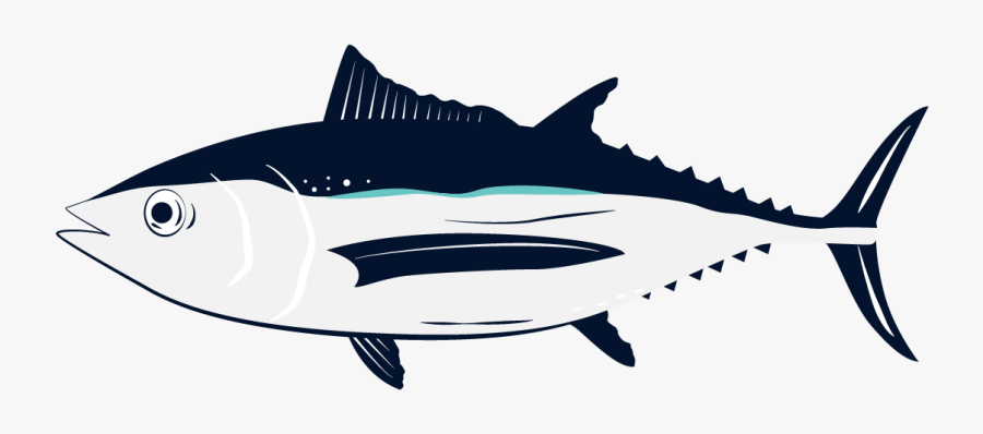 Albacore Fish, Transparent Clipart