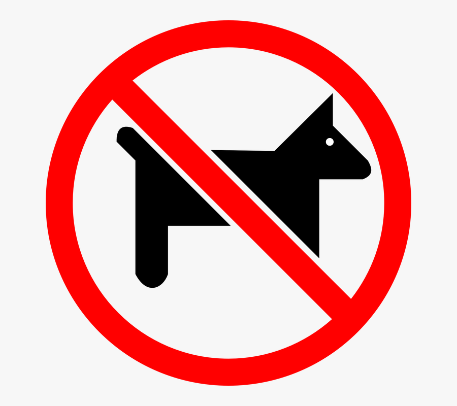 No Pets In Pool Area, Transparent Clipart