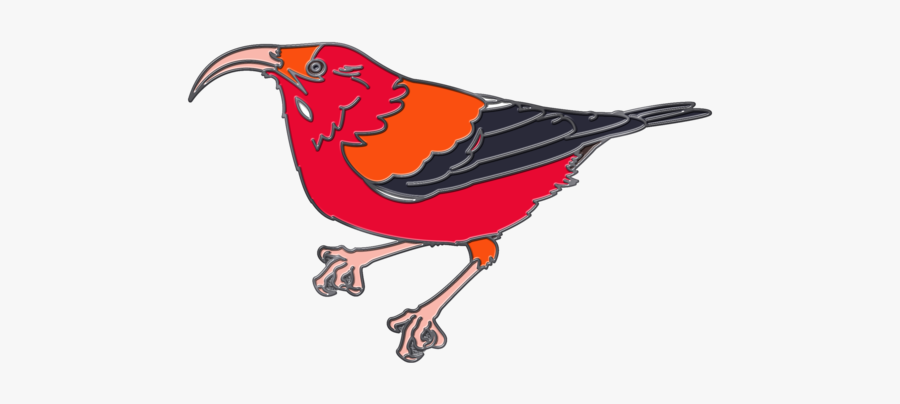 ʻiʻiwi Pin - Finch, Transparent Clipart