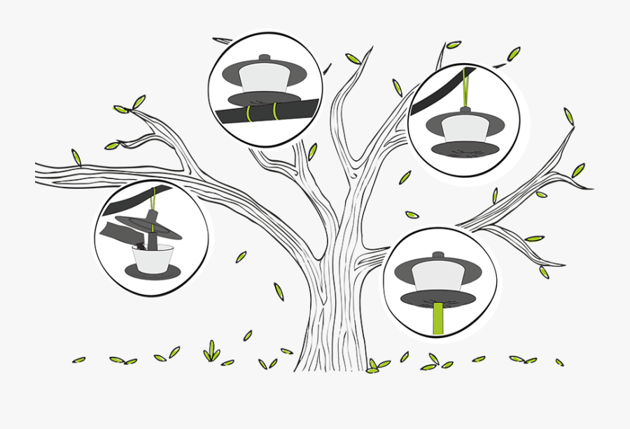 Krmítko Finch, Transparent Clipart