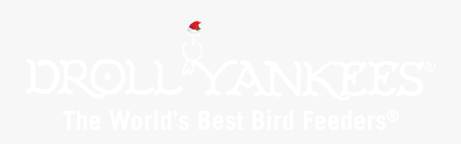 Picture - Illustration, Transparent Clipart