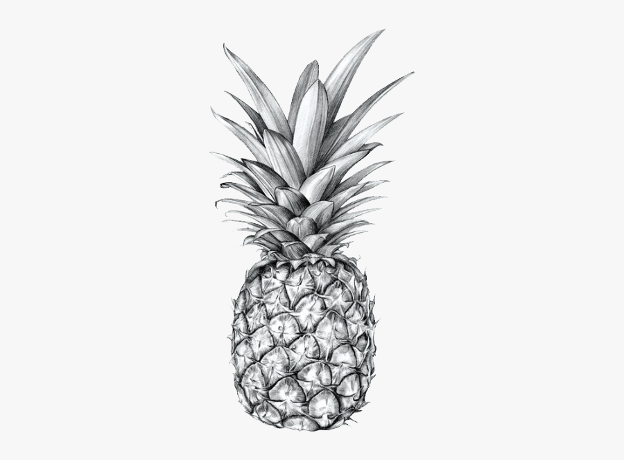 Png Black And White Pineapple, Transparent Clipart