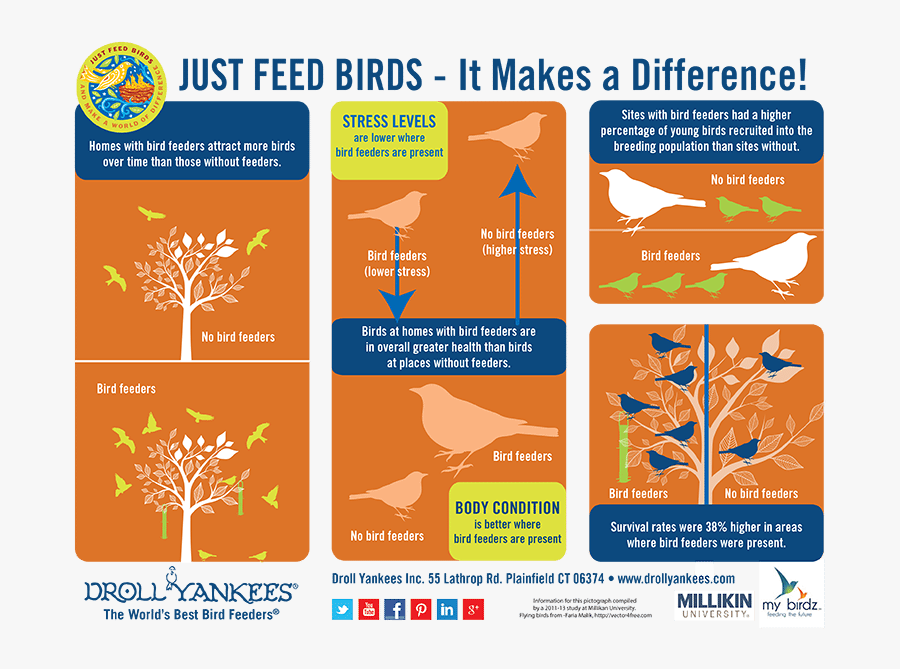 Wcl - Droll Yankee, Transparent Clipart