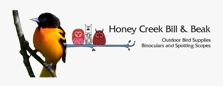 Queens Park Arts Centre, Transparent Clipart